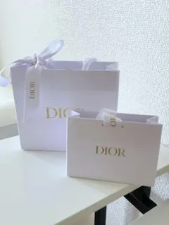 DIOR ショップ袋2個セット