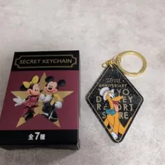ディズニーストア リゾート店周年グッズ新品アクリルキーチャーム　プルート