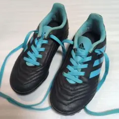 Item thumbnail for item 134e59ab-844e-4d5c-adf0-57c73d6bdc90