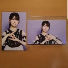 乃木坂46 筒井あやめ Same numbers ミニ生写真 セミ