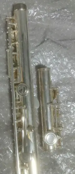 Item thumbnail for item 15b2f82b-5e3d-4aef-bde8-c652f1fd1893