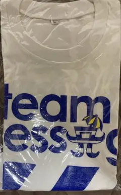 浜崎あゆみ　a-nation ラメ入りホワイト Lサイズ Tシャツ