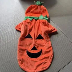 犬コスプレ、ハロウィン、パグ、犬服