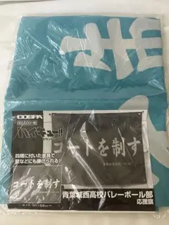 グラチャンバレー 日本代表 垂れ幕 横断幕 - メルカリ