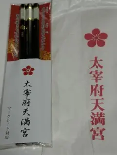 Item thumbnail for item a168fee9-86b9-473a-9174-8747496b363a