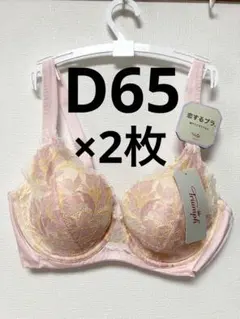 ●D65 ピンク2枚セット●トリンプ　恋するブラ