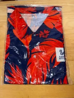 Item thumbnail for item 5b44bbad-7689-4381-ae01-5d870b0c6b1e