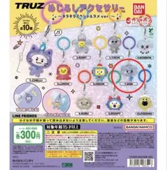 TRUZ めじるしアクセサリー SOM