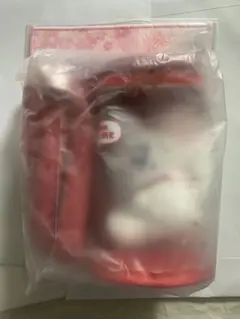 石井蘭 HUG♡ME:EYE’s RA:ME ぬいぐるみ トレカ付