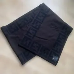 Item thumbnail for item a760be55-29d1-4924-a971-6ac18f931d36