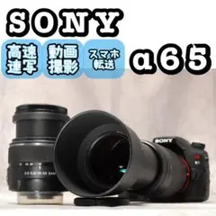 2026年最新】α65 レンズの人気アイテム - メルカリ
