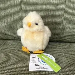 最終値下　ひよこ