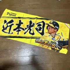 阪神タイガース タオル5枚セット (近本 佐藤 井上 森下 木浪) 阪神タイガース タオル5枚セット (近本 佐藤 井上 森下 木浪