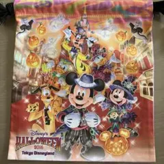 巾着　東京ディズニーランドⓇディズニー・ハロウィーン 2016