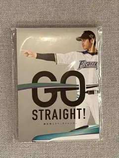 大谷翔平 日ハム グッズ まとめ売り 大谷翔平 日ハム グッズ まとめ売り 日本ハムファイターズ グッズ