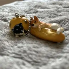 いぬぱん　2匹セット　まめしば　しば犬　　ガチャガチャ　（最終値下げです）