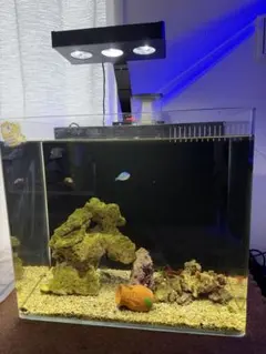 2025年最新】水槽 引き取りの人気アイテム - メルカリ