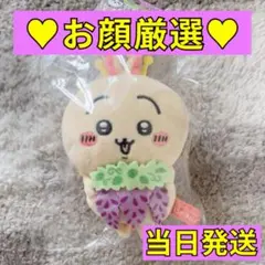 ちいかわ　ハチワレ　あしかがフラワーパーク　マスコット　足利　藤の花　ぬいぐるみ ちいかわ ハチワレ あしかがフラワーパーク マスコット 足利 藤