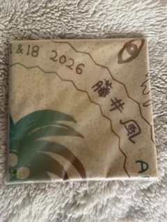 藤井風 Coachella Prema Bandana (Desert) - メルカリ
