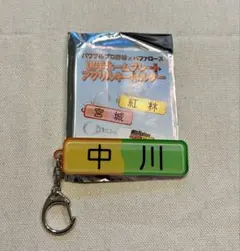 匿名配送　中川圭太　オリックスバファローズ　パワプロアクリルキーホルダー