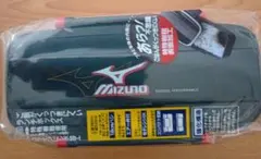 Item thumbnail for item 6d5f5801-6f65-4bb0-9045-a181372a7d55