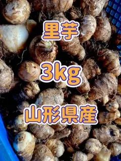 2025年最新】無農薬野菜 里芋の人気アイテム - メルカリ