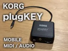 2026年最新】korg plugkeyの人気アイテム - メルカリ