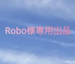 Robo様専用出品