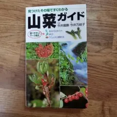 Item thumbnail for item effd8510-2b2d-402a-8b3b-8eac998aad9f