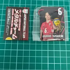 ガチャガチャ メタルチャーム バレーボール男子日本代表 山内晶大選手