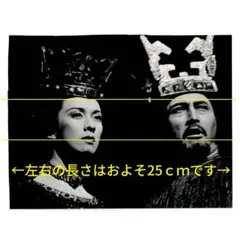 大正　レトロ 芝居と裁判 印刷物 上田劇場 演目チラシ　F23 大正 レトロ 芝居と裁判 印刷物 上田劇場 演目チラシ F23 - メルカリ