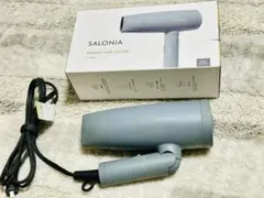 SALONIA Speedy Ion Dryer グレー