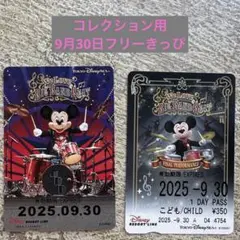ビッグバンドビート最終日フリーきっぷ