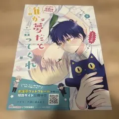 誰か夢だと言ってくれ　非売品　販促ポスター