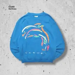 80s古着USA製 Hanes ネオンイルカ アートスウェット CARMEL M