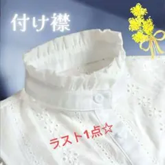 【新品】付け襟 スタンドカラー コットン ナチュラル おしゃれ重ね着フリル 春服