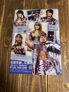 棚橋弘至クリアファイル非売品　2019年会場配布品