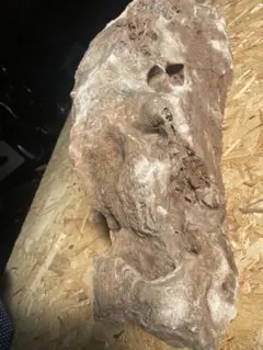 八海山石 庭石 296kg【引取可/配送は説明へ】新潟県水無川銘石鑑賞石