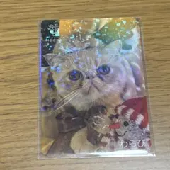 うっちー様専用　【わらび】