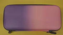 DLseego Switch/Switch OLED用ケースセット 289