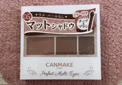 キャンメイク　パーフェクトマルチアイズX 05