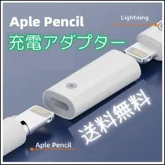 〇【匿名配送】Apple Pencil 充電アダプター 第2世代 第1世代