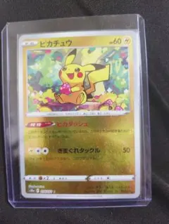 ま*送様 ダークファンタズマ ピカチュウ ボールミラー