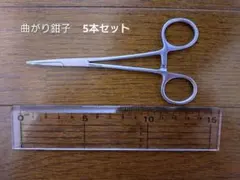 Item thumbnail for item d8624a30-1dd5-45b3-a5c9-cb115adf0837