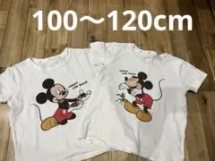 インセクトコレクション　ミッキーマウス Tシャツ 2枚セット