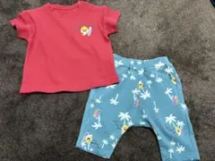 ベイビーシャークTシャツとパンツセット　80センチ
