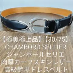 2026年最新】CHAMBORD SELLIERの人気アイテム - メルカリ