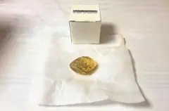 スガハラガラス① カードホルダー　まつぼっくり