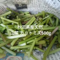 直売所コスパ最強〉沖縄県産 皮むき島らっきょう B品 約500g