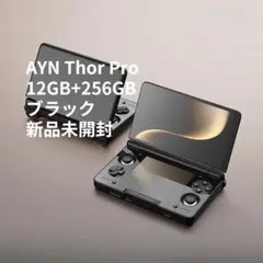 新品 AYN Thor Max 16GB/1TB レインボー - メルカリ